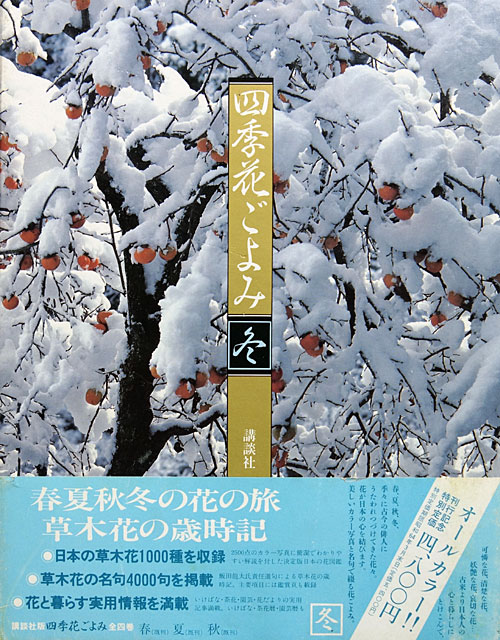 正規品】の通販 四季花ごよみ 生活ごよみ 春夏秋冬 別巻 正月 講談社 - 本